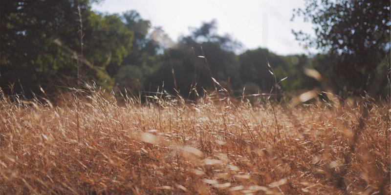 南通江浦13：以专业技术服务为核心，打造船舶配件与设备一站式解决方案