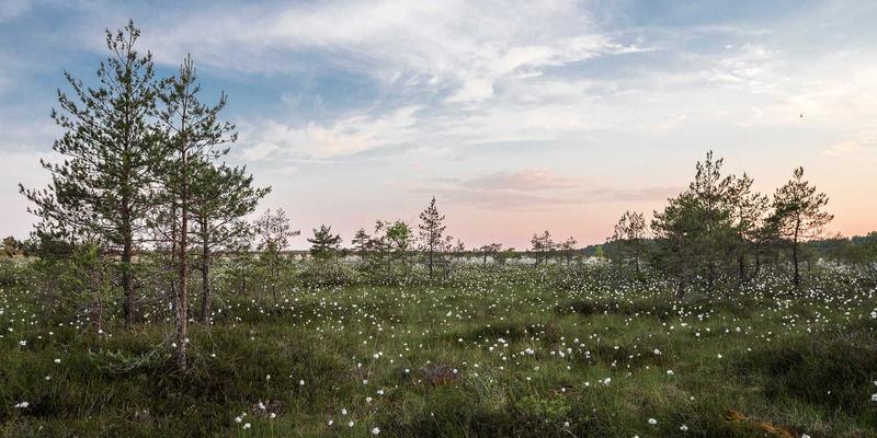 南通江浦30：海洋工程领域的技术服务先锋与船舶设备专家