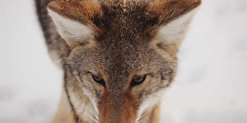 南通江浦69：船舶配件与维修服务的区域枢纽解析