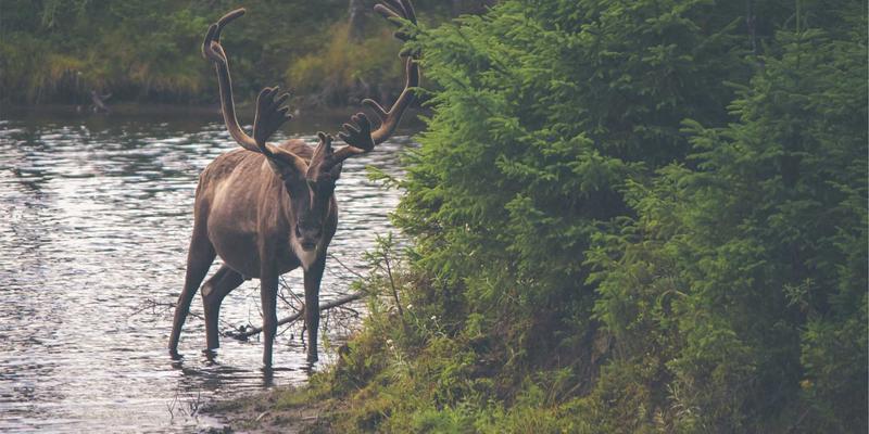 南通江浦73：船舶维修、配件与海洋工程服务的战略枢纽