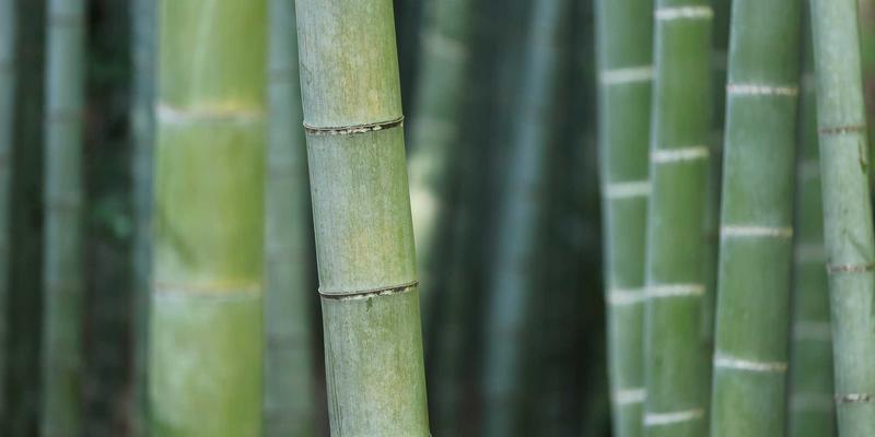 南通江浦77：海洋工程与船舶配件产业带的战略支点