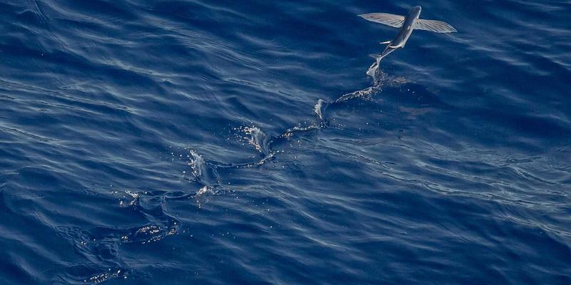 南通江浦引领绿色航运：LNG动力改装与岸电系统集成的船舶维修新方案