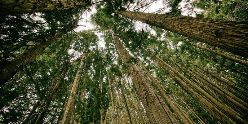 南通江浦：技术服务如何驱动海洋结构产业高质量发展