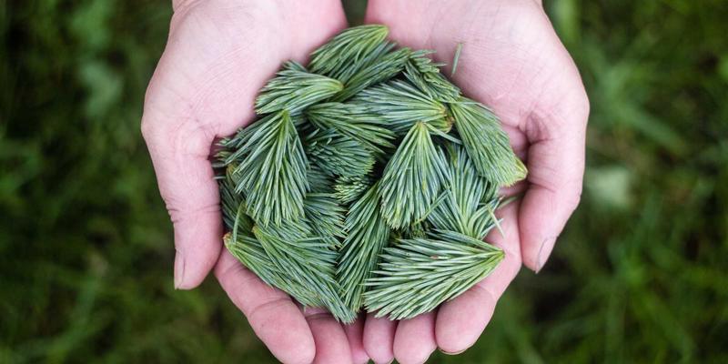 南通江浦海工装备融资租赁与保险服务模式创新：技术服务驱动下的船舶设备与海洋工程新生态