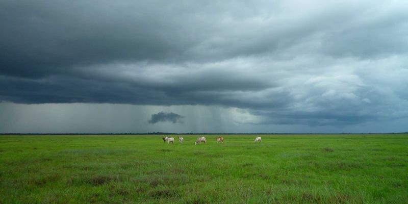 南通江浦海洋可再生能源装备：海上风电安装船与运维技术的创新突破