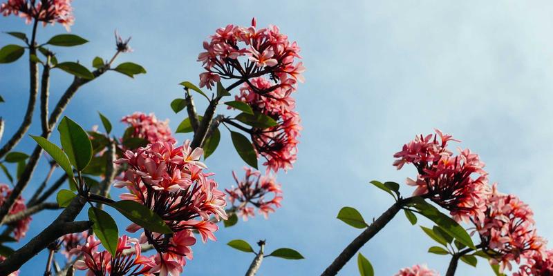 南通江浦船舶内装材料与舱室环保设计新趋势与选型指南