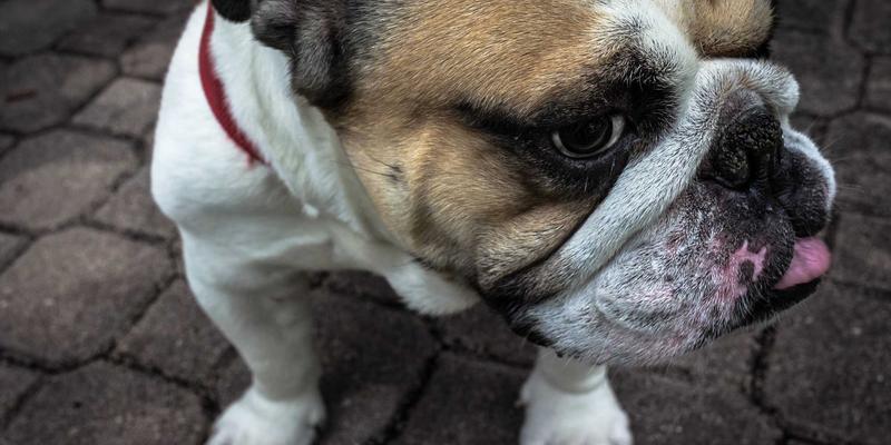 南通江浦船舶内装材料与舱室设备市场现状：海洋工程领域的技术服务与配件竞争格局