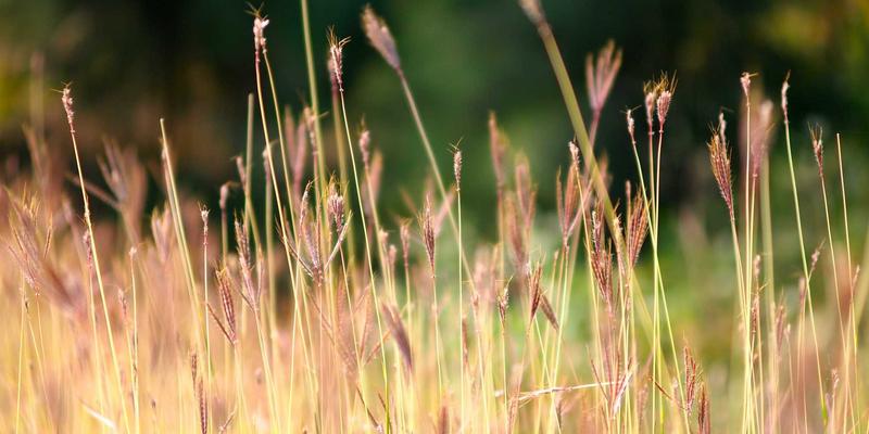 南通江浦船舶维修与设备保障：海洋工程安装及运输的特殊风险与保险策略