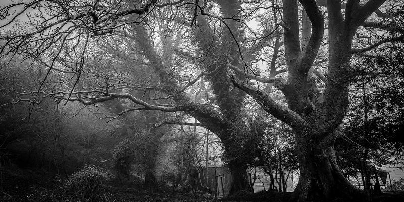 南通江浦：船舶设备与海洋工程产业集群的崛起之路