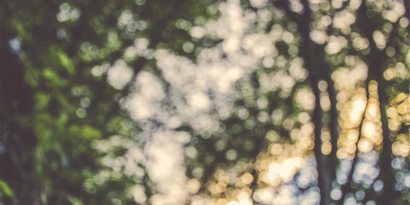 南通江浦船舶设备产业供应链深度解析：本地化配套与全球采购的协同之道