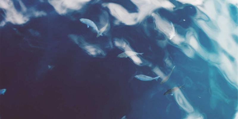 南通江浦船舶配套企业如何培育专精特新‘小巨人’？聚焦海洋结构与船舶设备