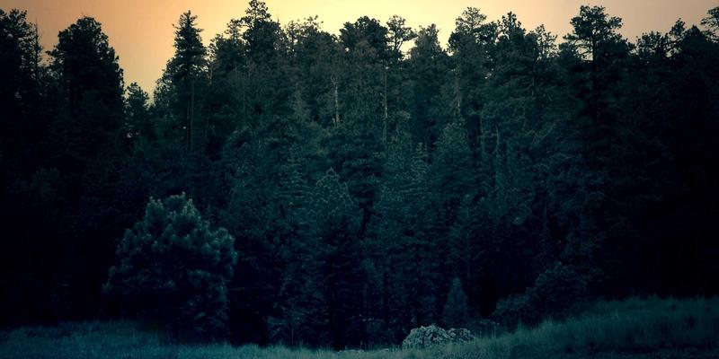 南通江浦趋势：船舶维修、技术服务与海洋工程的三维跃迁